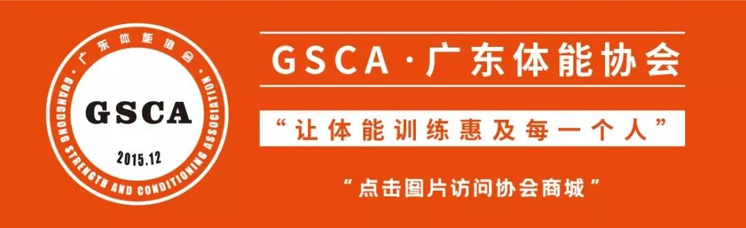 针对篮球后卫的全面体能训练方案_1